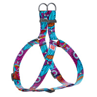 Waudog Шлея Nylon с рисунком Лето, 2*50-80см