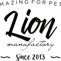 Lion Lion