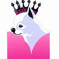 For my dogs For my dogs
