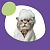Косметика для кошек