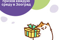 Розыгрыши каждую среду в наших соцсетях! Розыгрыши каждую среду в наших соцсетях!