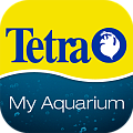 Tetra Tetra