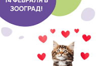 14 февраля в Зооград! 14 февраля в Зооград!