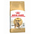 Royal Canin 2кг Bengal Adult Сухой корм для взрослых кошек породы Бенгальская